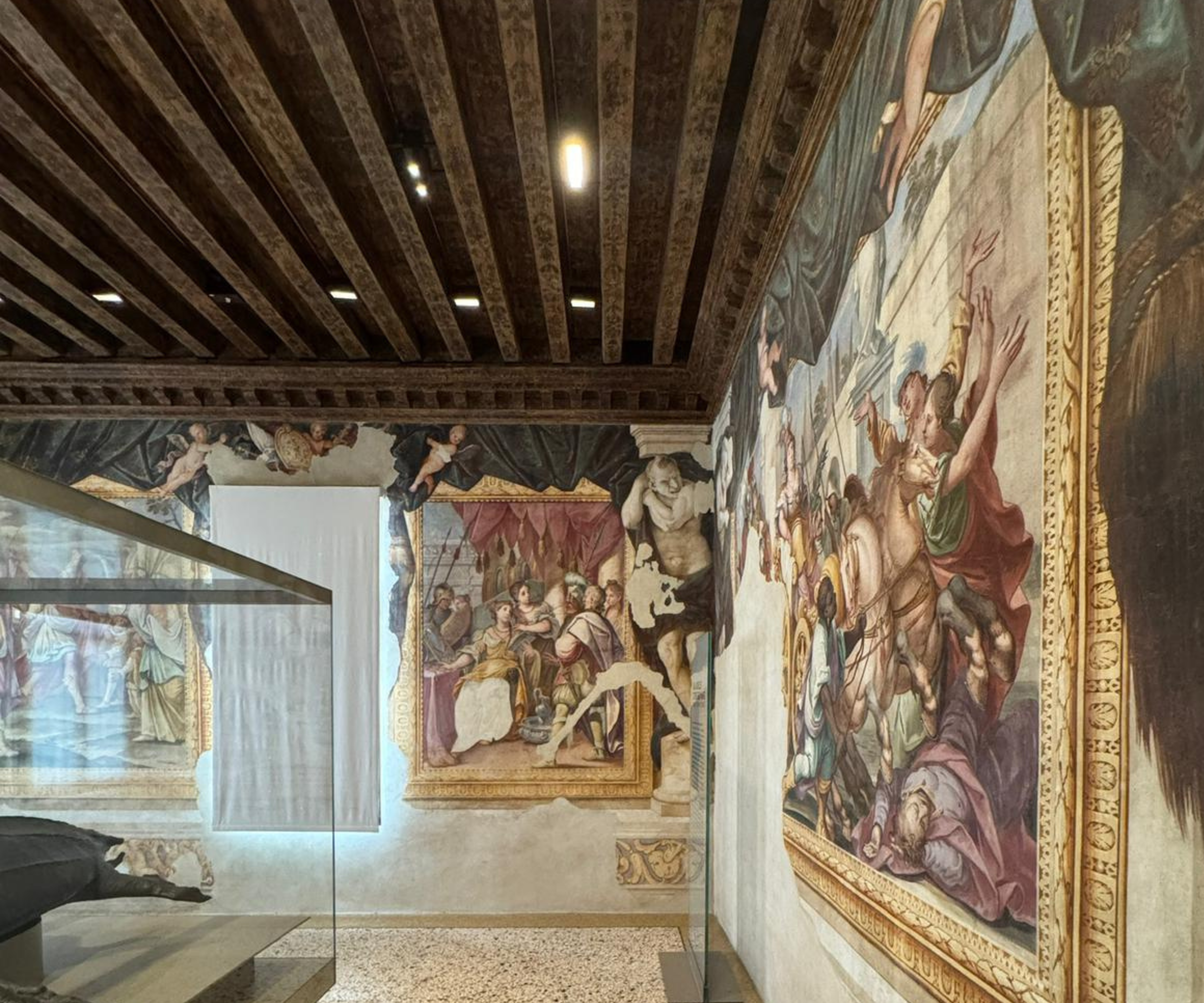 Palazzo Cavalli - Museo della Natura e dell’Uomo di Padova, Zero55 ©Zero55